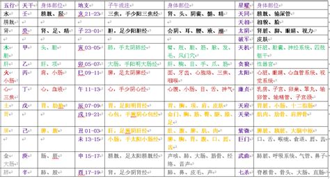 五行 身體部位|天干地支五行身体部位及器官之对应